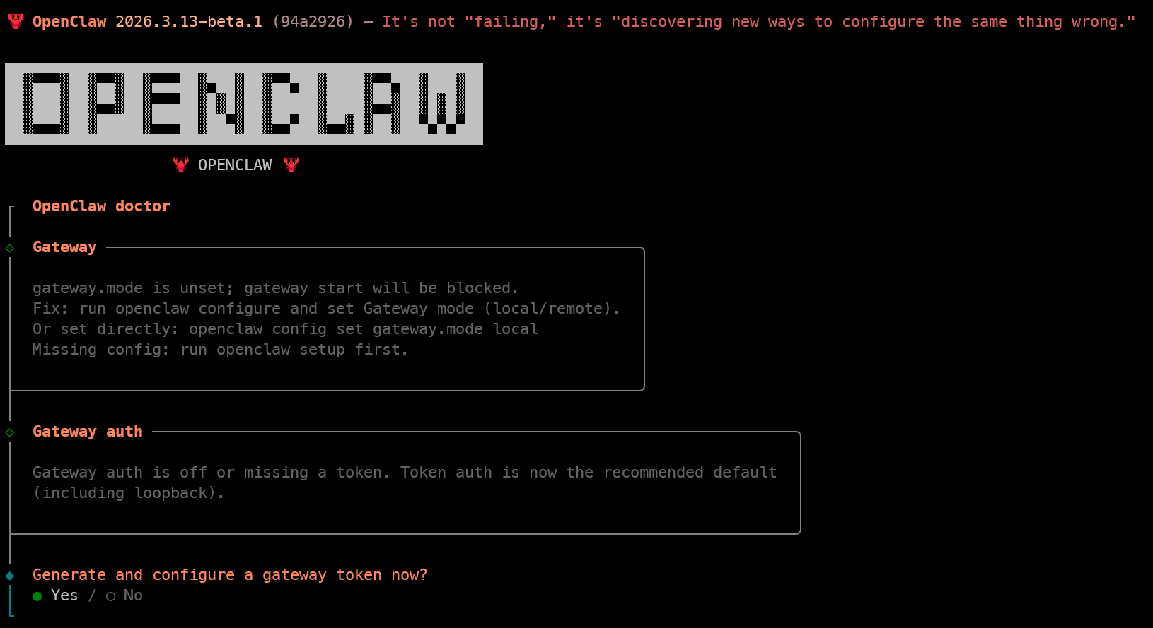 安装过程中配置 gateway / token 时的终端交互