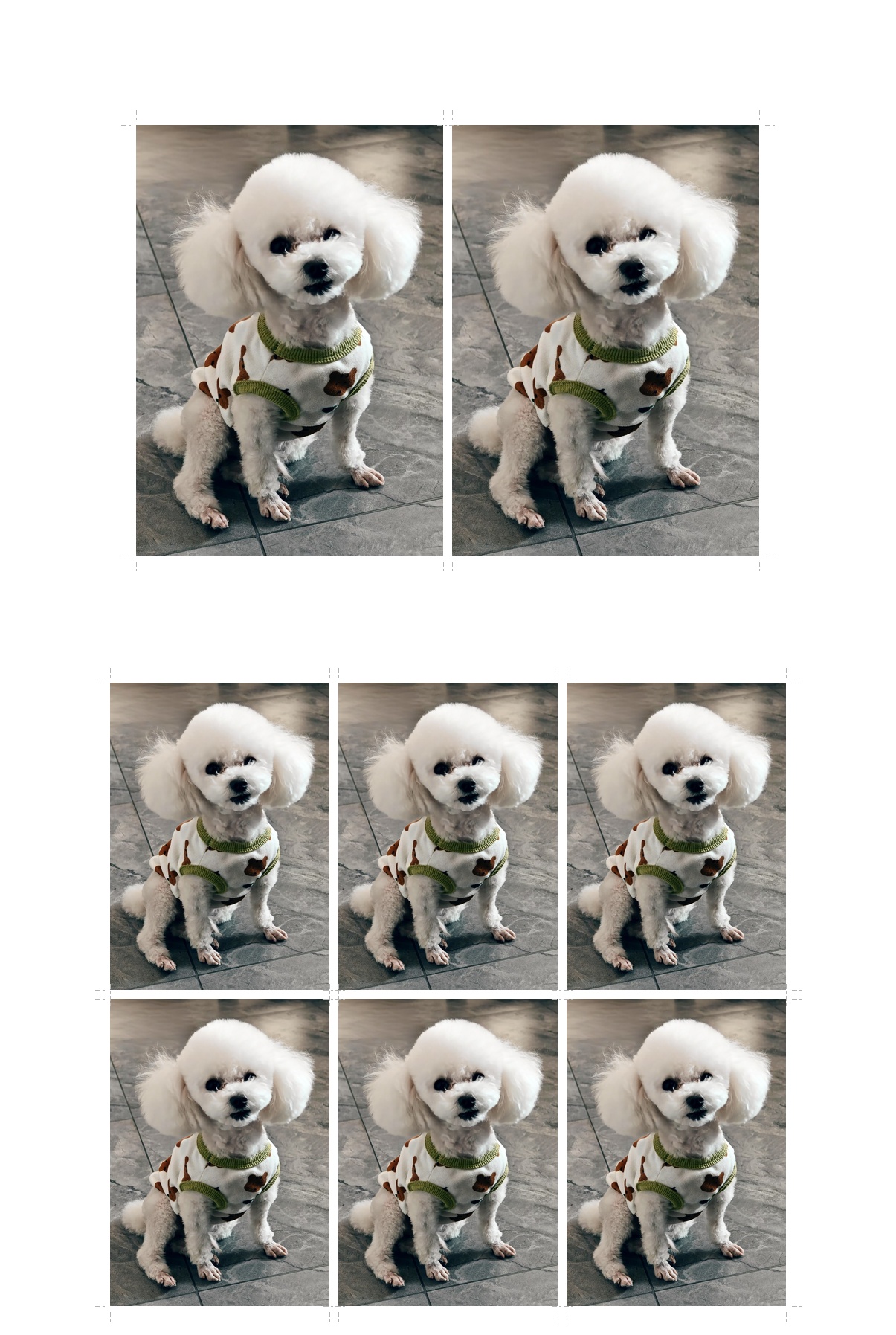 混排导出（6 寸相纸，2 寸 + 1 寸）