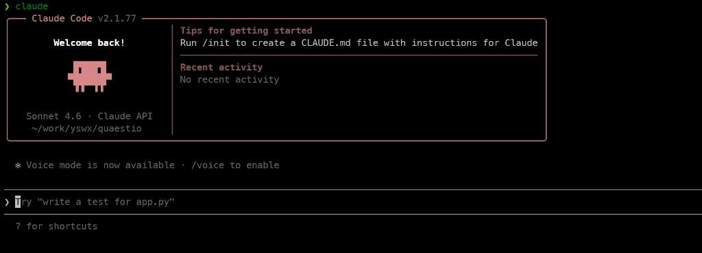 Claude Code 启动界面与终端工作流