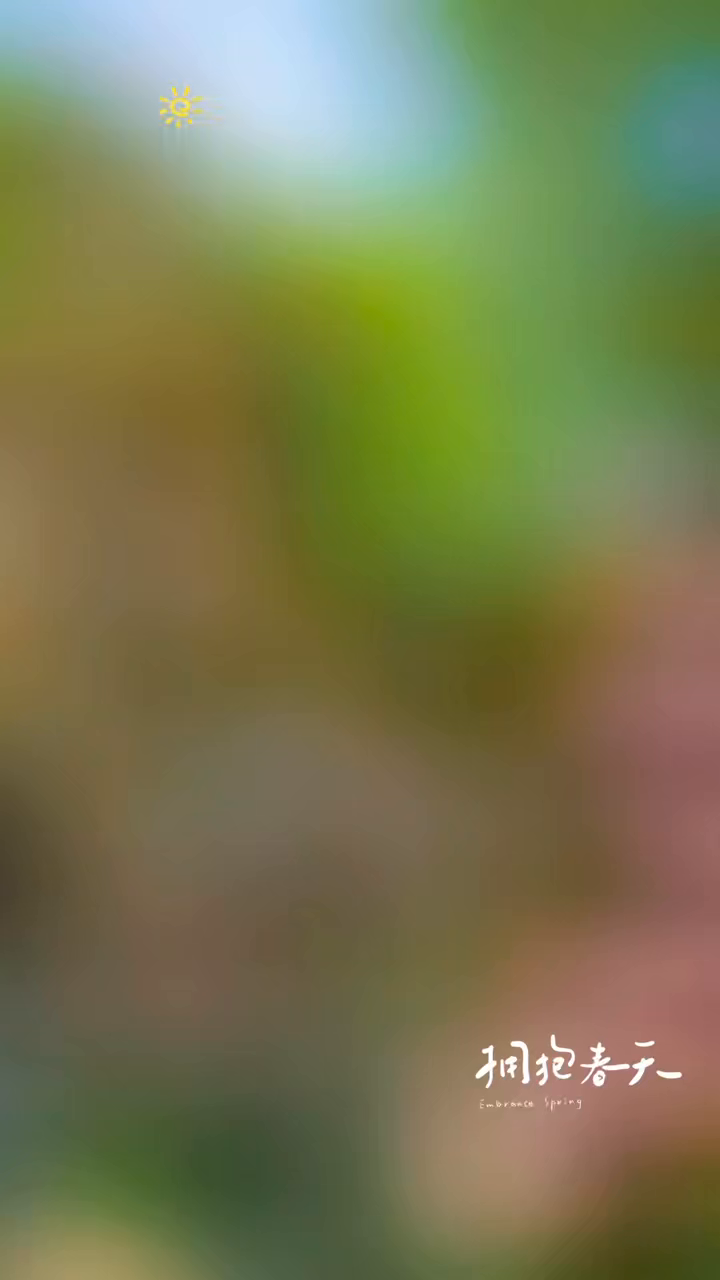 真实视频低隐私抽帧第 1 帧:虚化的春日环境开场