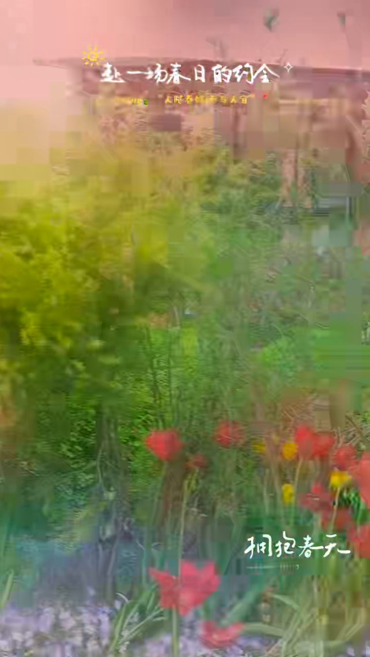 真实视频低隐私抽帧第 2 帧:花草和活动标题