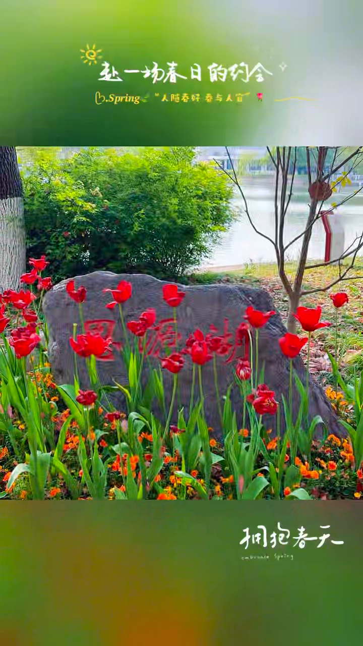 真实视频低隐私抽帧第 5 帧:花草和石刻环境